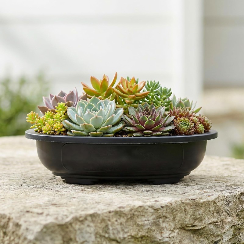HAKZEON 12 Pcs 12 Inch Bonsai Training Pots, Matte Finish