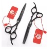 Purple Dragon Hermoso Set Tijeras Corte Cabello Peluquero Estuche 5.5
