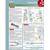 Lerntafel: Genetik im Überblick (Lerntafeln Biologie)