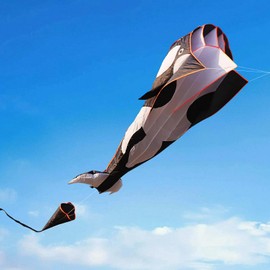 Giant Kite, Shyllin Wind Kite for Children, Killer Whale Kite, Kite for Adults, Beach Kite, Suitable for Lawns and Parks, 215 x 125 cm (Black and White)