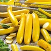 Seeds Zucchini Yellow Heirloom Vegetable for Planting Non GMO