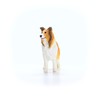 schleich 13998 Collie, from 3 years FARM WORLD - Figurine,