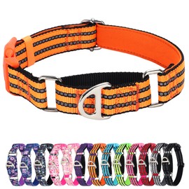 MAOWUWUJOZ Collar Martingala para Perros - Nailon Reflectante Antideslizante con Acolchado cómodo, Resistente y Hebilla de liberación rápida para Entrenamiento, Paseos y tirones sobreexcitados, Color