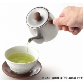 Miyazaki Seisakusho CHA-1 Teapot with Tea Strainer, No Direct Fire, 0.38 L (0.38 L), Small