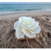 Biodegradable Water Burial Urn Kit - Cruise Approved | Ocean