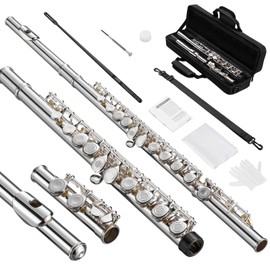 POGOLAB Open Hole C Flute, 16 Keys Student Flute Instrument for Beginner Advanced Player, with Carry Bag, Strap, Gloves, Adjustment Screwdriver, Cleaning Kit (Open/Closed Hole, Silver Plated)