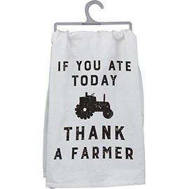 Primitives by Kathy Farmhouse Dish Towel, 28 x 28-Inches, If You Ate Today
