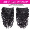 Fulang Hair Kinky Curly Clip-In Real Hair Extensions, 55 cm,