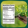 SPICE TRAIN, Fenugreek/Methi Seeds (397g) Non-GMO, Gluten-Free & 100% Whole