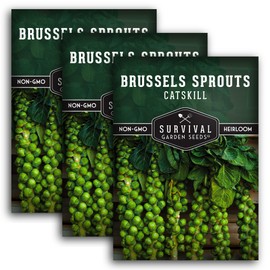Survival Garden Seeds - Catskill Brussels Sprouts Seed for Planting - 3 Packs with Instructions to Plant and Grow Tasty Cruciferous Vegetables in Your Home Vegetable Garden - Non-GMO Heirloom Variety