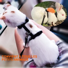 Cat Vests with Lead, Adjustable Cat Harness, Leash, Cat Harness, Kitten Harness, Leash, Cat Harness, Escape Safety Rope for Cats and Kittens