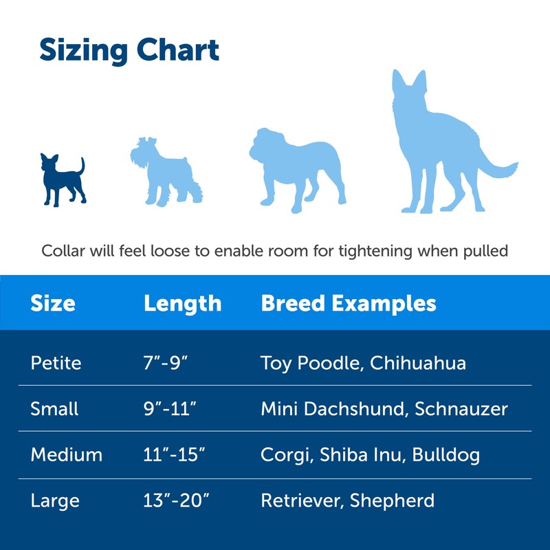 PetSafe Martingale Dog Collar with Quick-Snap Buckle - Petite, 3/8