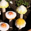 Set Of 6 Ceramic Toadstool Stakes Mini Garden Mushroom Pot