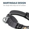 RUFFWEAR Web Reaction Dog Collar, Adjustable Martingale Collar with Aluminium