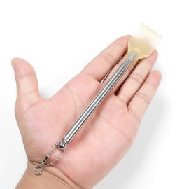 lengthening Filial offspring 15ea