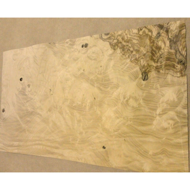 Olive Ash Burl Wood Veneer 7" x 12" raw with