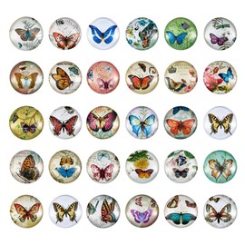 Pandahall 1Box/50Pieces Butterfly Printed Glass Cabochons Flatback Half Round Dome Glued Tiles Mixed Color 25x7mm for Circle Bezel Tray Setting