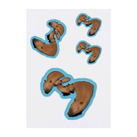 4 x 'Swimming Capybara Family' Temporary Tattoos - Water Resistant, Skin-Safe, Non-Toxic Transfers, Mixed Sizes (TO00072204)