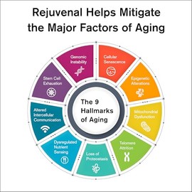 Rejuvenal | Antienvejecimiento | Envejecimiento saludable | Apoya el rejuvenecimiento celular, energía, cerebro, músculo, piel | Apoya el ADN mitocond