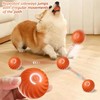 Ball for Cats and Dogs,Vibrating Do/g Ball,Dog Self Rolling Ba/ll,Interactive
