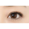 dyi-appu Eyelash rassyubo-te 06 Adult Girly
