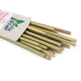 VicaVerde Natural Bamboo Stakes for Plants (25-Pack), 2 Feet Eco-Friendly Garden Stakes for Tomatoes, Vines, Flowers, Climbing Vines, and Outdoor Plants