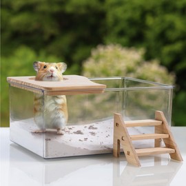 Navaris Hamster Sand Box - Transparent & Easy to Clean - Includes Sturdy Wood Lid and Stairs - Sand Bath and Digging Box Cage Accessory - Accessories for Syrian and Dwarf Hamsters