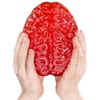 Vat19 Gummy Brain