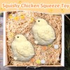 TOGETDREAM 2 Pcs Squishy Chicken Squeeze Toy, Stress Relief Squeeze