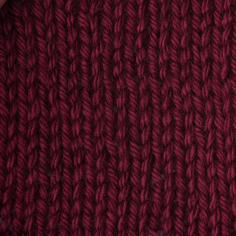 Caron Simply Soft Acrylic Aran Knitting Wool Yarn 170g -