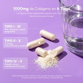 Zesty Colágeno Hidrolizado Puro 6 Tipos I, II, III, IV, V y X - Grenetina Hidrolizada en Cápsulas, Tipo II para Cartílago, Péptidos Bovino, Marino y d