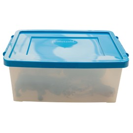 Betzold - Wilde-Tiere-Set, 6-TLG - Spieltiere Spielzeugtiere Tierfiguren Spielfiguren