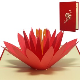Lin Pop-Up Birthday Cards 3D Flower Cards Thank You Cards Get Well Greeting Cards, Water Lily