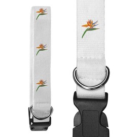 Small 'Bird Of Paradise Tropical Flower' Dog Collar (PR00059723)