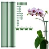 Extendable Plant Stakes 12 Inch, 12-Pack Heavy Duty Plant Support