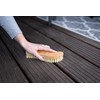 Chinchilla® Beech Wood Scrubbing Brush Made in Germany | High-Quality