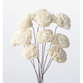 Daichi Farm DO032081-010 Dried Flowers, Solar Rose, Small, White Approximately 1.6 x 7.9 inches (4.0 x 20 cm), Pack of 10