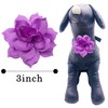 PET SHOW Dog Charms Flower Collar Accessories For Cat Puppy