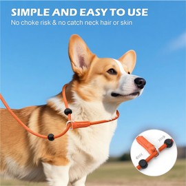 Erbine 6FT Slip Lead Dog Leash with Double Padded Handle, Anti-Tangle Slip Leads for Dogs, Reflective Nylon No-Pull Training Leash for Small Medium Dogs, Orange