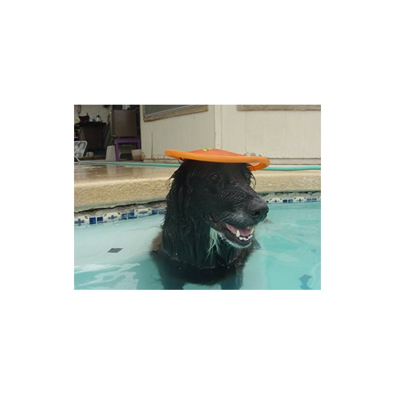 Nerf Dog Nylon Flying Disk Dog Toy, Large, Orange