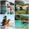 Non-stop dogwear Protector Life Jacket, Innovative Dog Life Jacket, Breathable