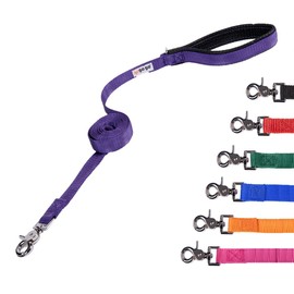 GOGO Pet Products Comfy Nylon Lead