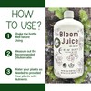 Elm Dirt's Bloom Juice for All Flowering Plants (1 Bottle)