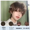 PEACOCO Men's Short Wig, Wig, Masculine Dresses, Blonde Wig, Wolf,