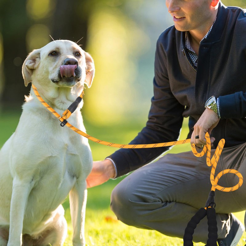 Slip Lead 6 FT for Small and Medium Dogs,Puppy Dog