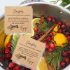 Christmas Stovetop Potpourri Simmer Instruction Cards | 30 Pack |