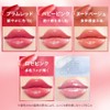 Mentholatum Lip Fondue Rose Pink