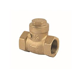 Hydroland Brass Check Valve Backflow Preventer Check Valve Backflow Valve for Heating Water (3/4 Inch)