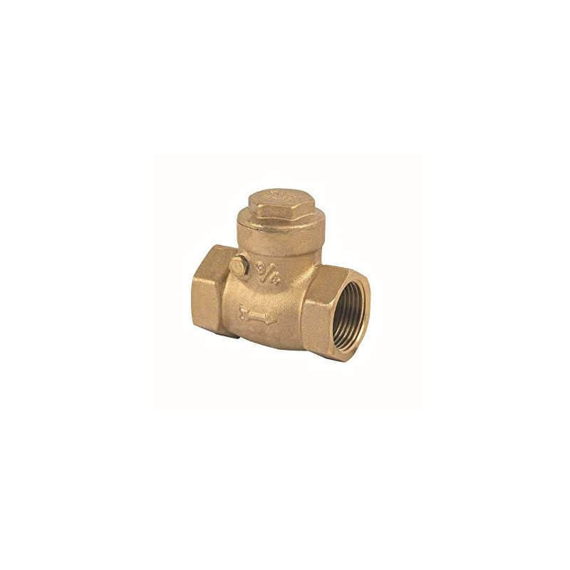 Hydroland Brass Check Valve Backflow Preventer Check Valve Backflow Valve
