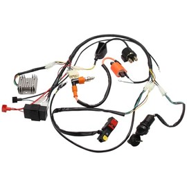 Full Wire Loom Wiring Harness for 150cc 200cc 250cc 300cc ATV Quad Bike Buggy Gokart